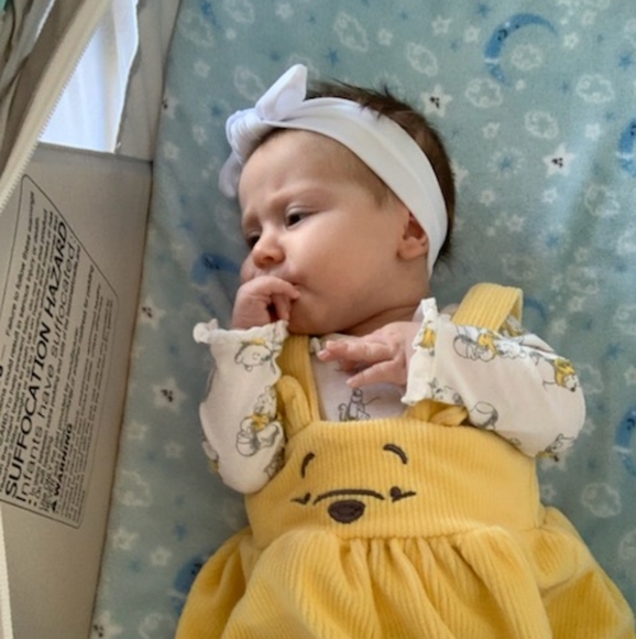 Live show Saturday  August 5th 1 PM EST - Picture 2 of 4